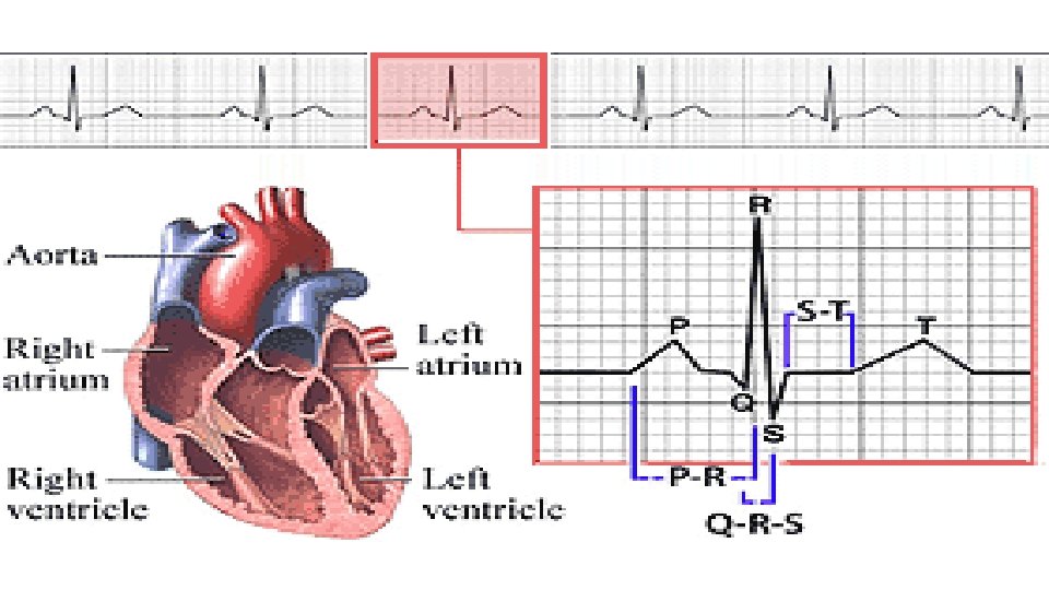 © 2009 Delmar, Cengage Learning 