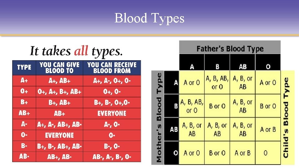 Blood Types © 2009 Delmar, Cengage Learning 