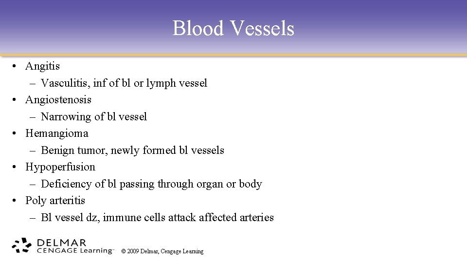 Blood Vessels • Angitis – Vasculitis, inf of bl or lymph vessel • Angiostenosis