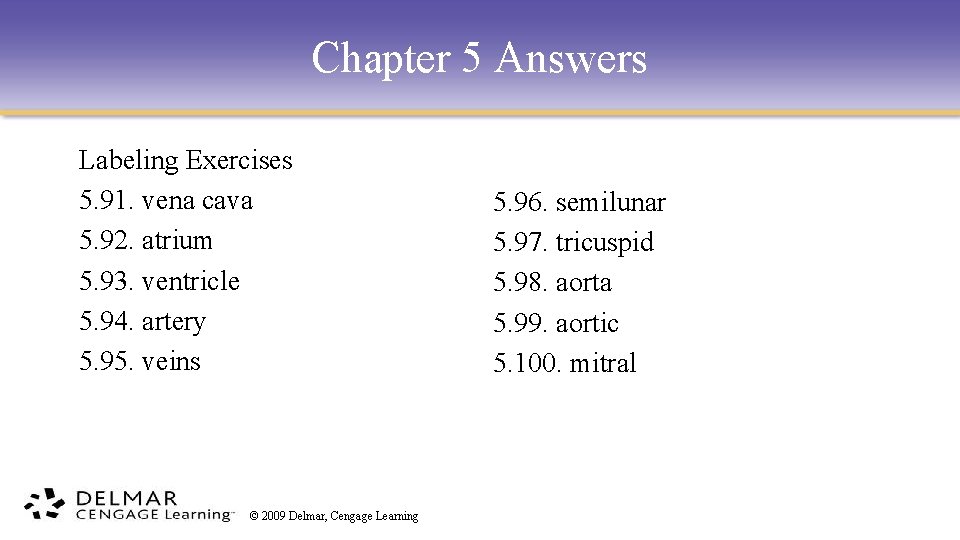 Chapter 5 Answers Labeling Exercises 5. 91. vena cava 5. 92. atrium 5. 93.