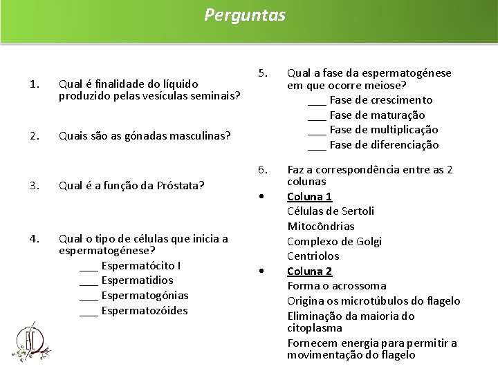 Perguntas 1. Qual é finalidade do líquido produzido pelas vesículas seminais? 2. Quais são
