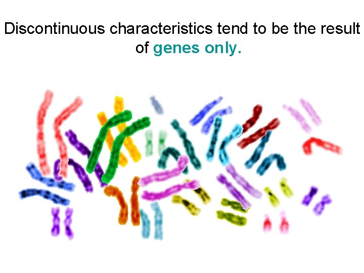 Discontinuous characteristics tend to be the result of genes only. Discontinuous characteristics tend to be the result of genes only.