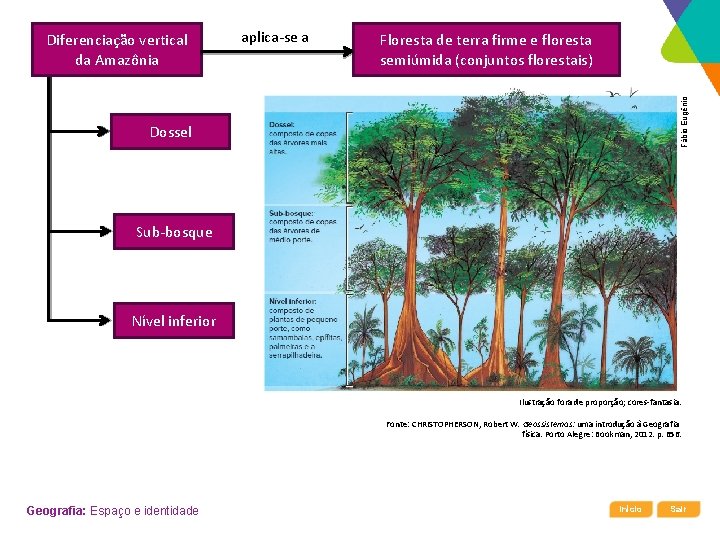 aplica-se a Floresta de terra firme e floresta semiúmida (conjuntos florestais) Fábio Eugênio Diferenciação