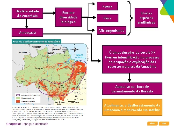 Fauna Biodiversidade da Amazônia Ameaçada Enorme diversidade biológica Flora Muitas espécies endêmicas Microrganismos Últimas