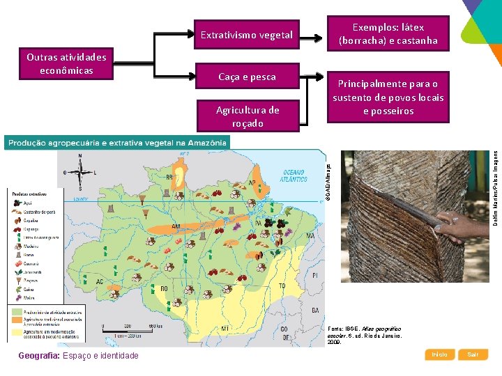 Exemplos: látex (borracha) e castanha Extrativismo vegetal Caça e pesca Principalmente para o sustento