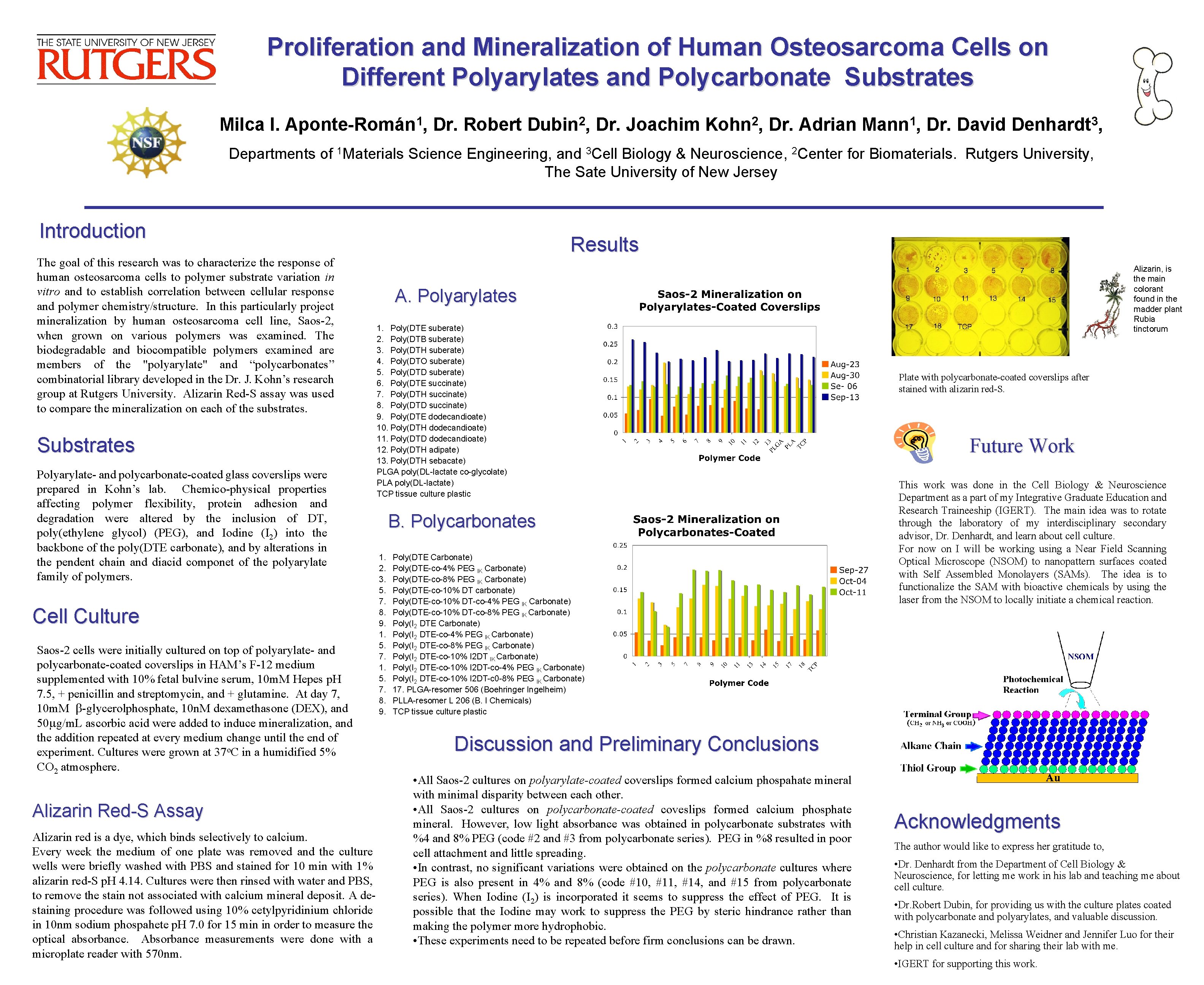 Proliferation and Mineralization of Human Osteosarcoma Cells on Different Polyarylates and Polycarbonate Substrates Milca