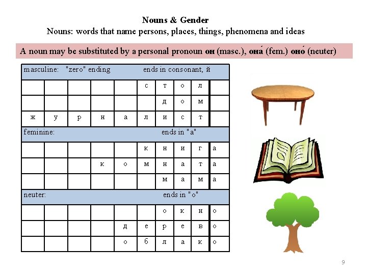 Nouns & Gender Nouns: words that name persons, places, things, phenomena and ideas A