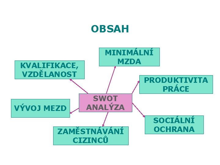 OBSAH KVALIFIKACE, VZDĚLANOST VÝVOJ MEZD MINIMÁLNÍ MZDA PRODUKTIVITA PRÁCE SWOT ANALÝZA ZAMĚSTNÁVÁNÍ CIZINCŮ SOCIÁLNÍ