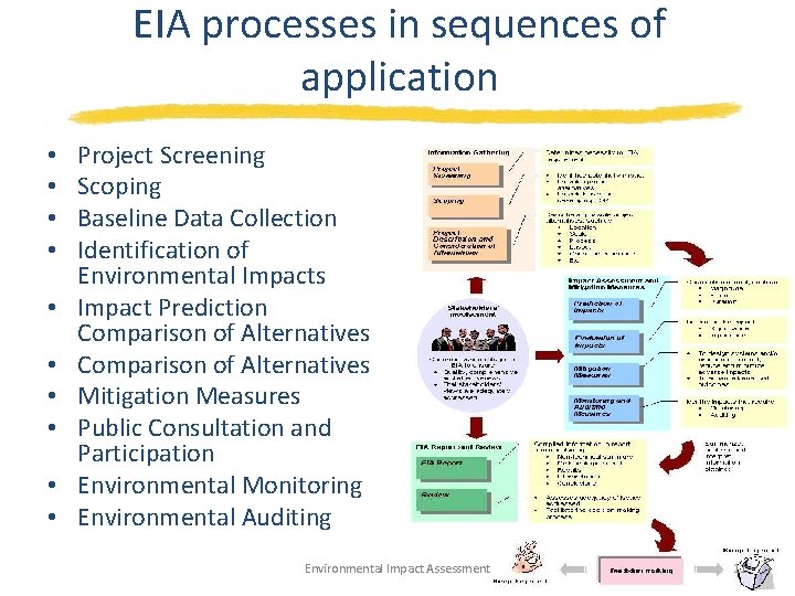 EIA processes in sequences of application • • • Project Screening Scoping Baseline Data