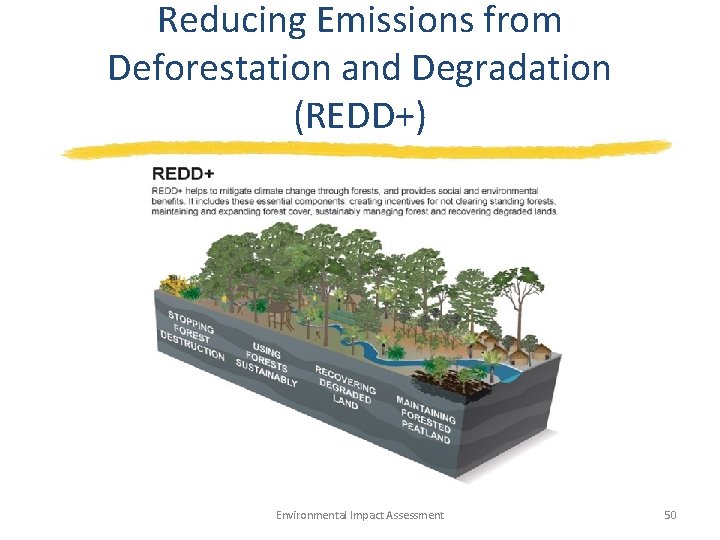 Reducing Emissions from Deforestation and Degradation (REDD+) Environmental Impact Assessment 50 