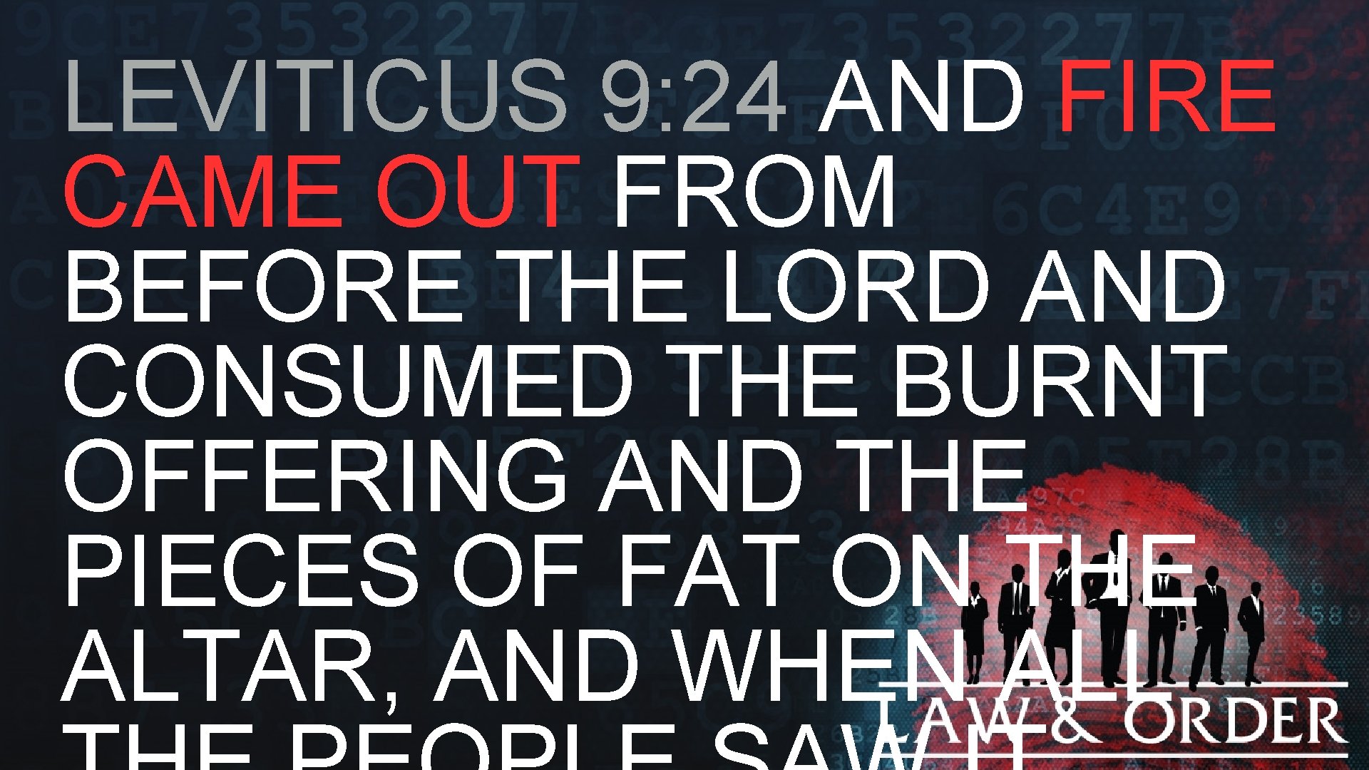 LEVITICUS 9: 24 AND FIRE CAME OUT FROM BEFORE THE LORD AND CONSUMED THE