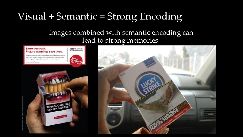 Visual + Semantic = Strong Encoding Images combined with semantic encoding can lead to
