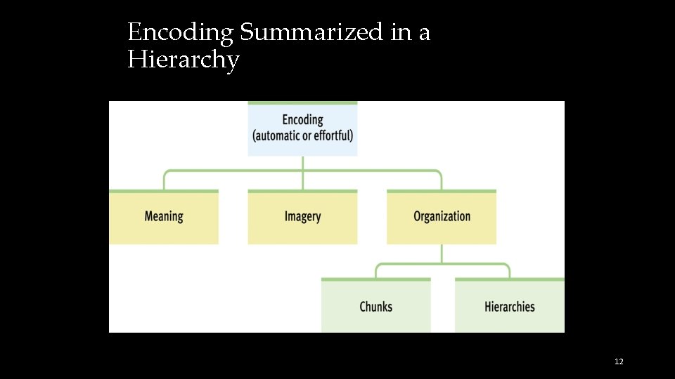 Encoding Summarized in a Hierarchy 12 