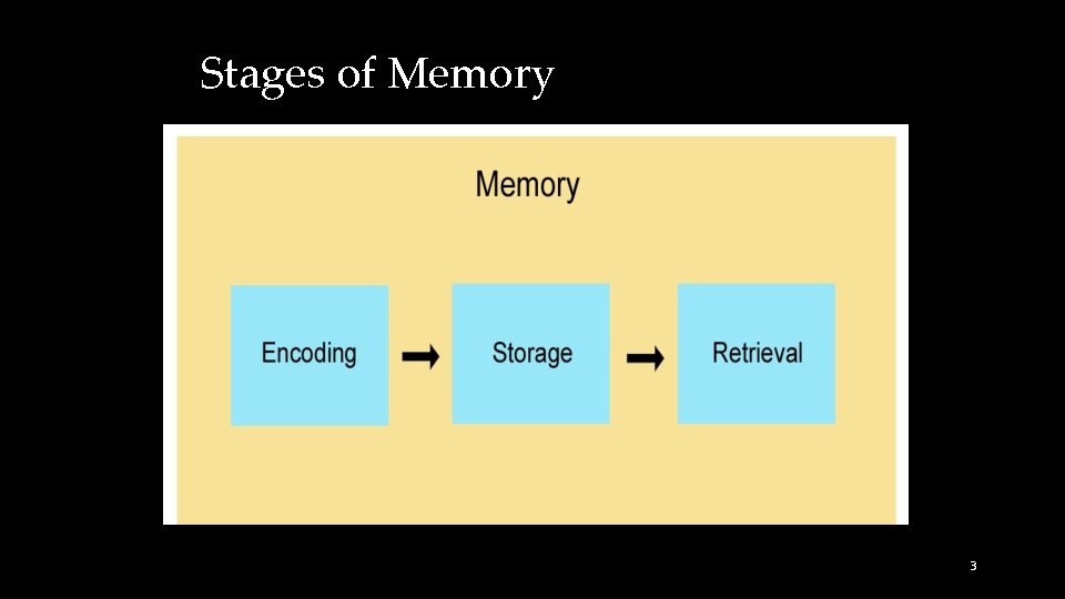Stages of Memory 3 