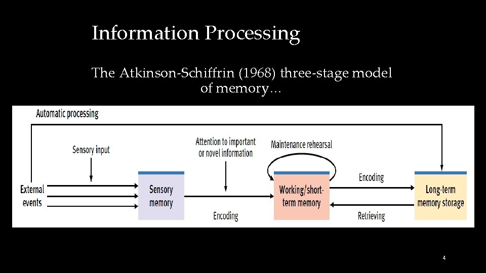 Information Processing The Atkinson-Schiffrin (1968) three-stage model of memory… 4 
