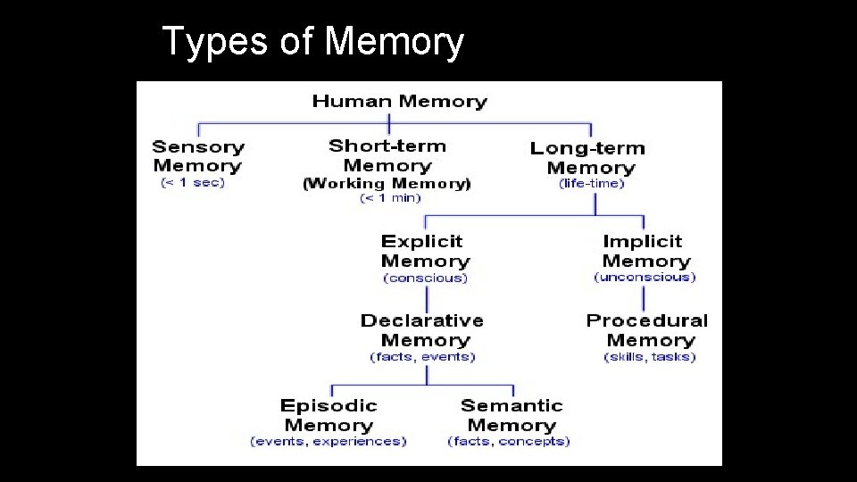 Types of Memory 