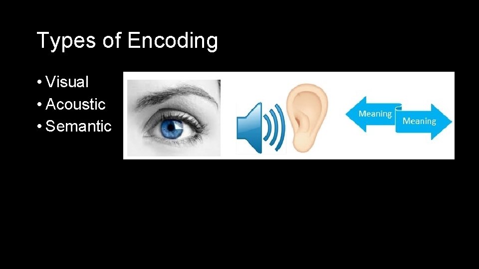 Types of Encoding • Visual • Acoustic • Semantic 