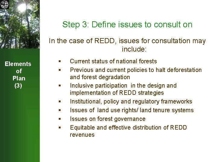 Step 3: Define issues to consult on In the case of REDD, issues for