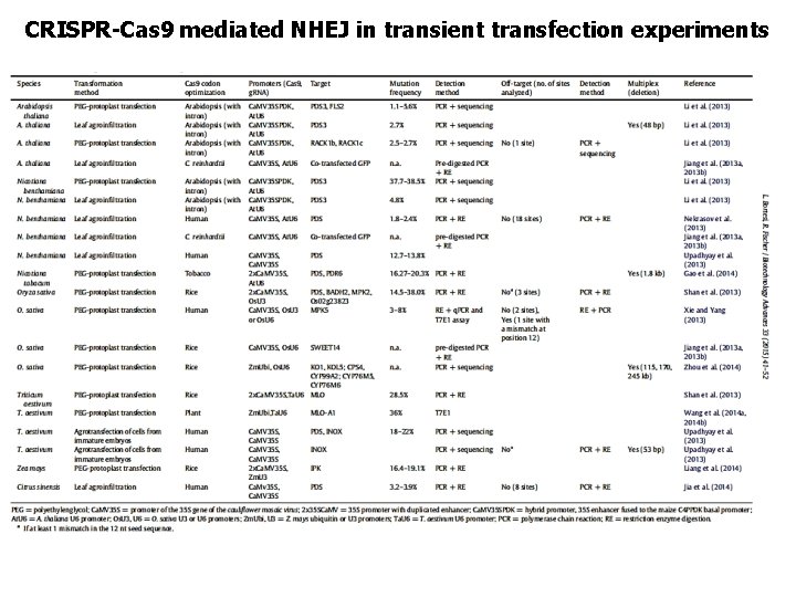 CRISPR-Cas 9 mediated NHEJ in transient transfection experiments 