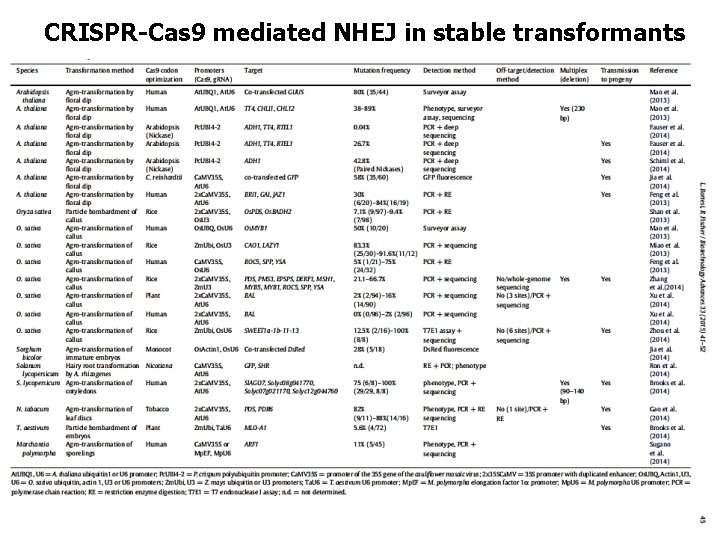 CRISPR-Cas 9 mediated NHEJ in stable transformants 
