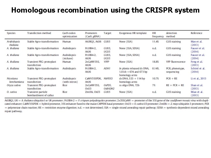 Homologous recombination using the CRISPR system 