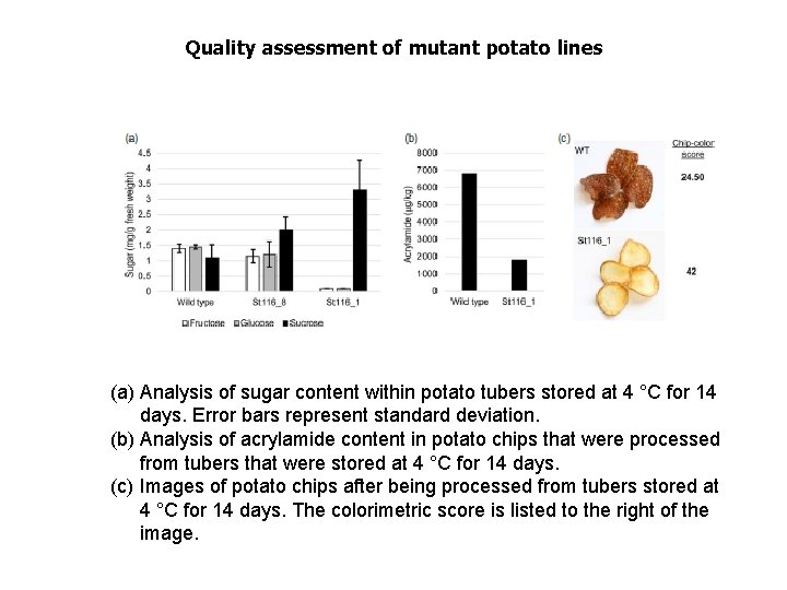 Quality assessment of mutant potato lines (a) Analysis of sugar content within potato tubers