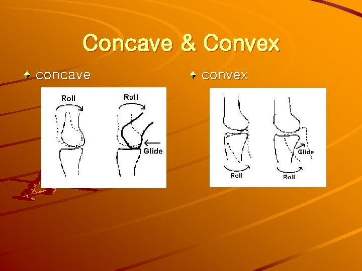 Concave & Convex concave convex 