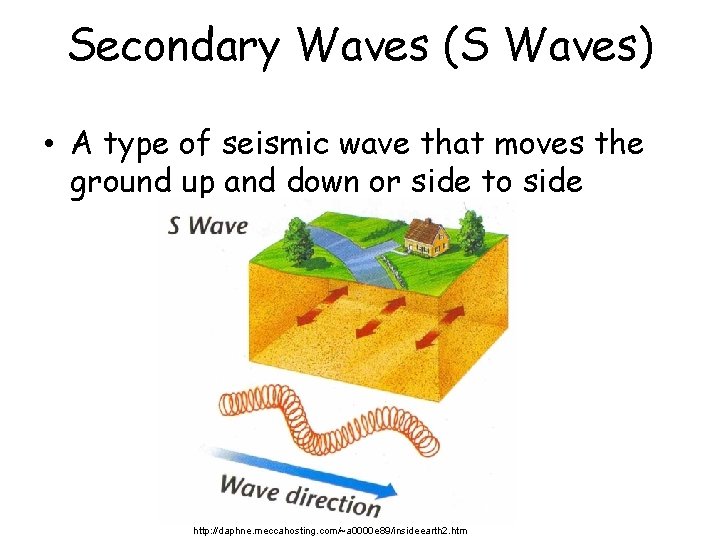 Secondary Waves (S Waves) • A type of seismic wave that moves the ground