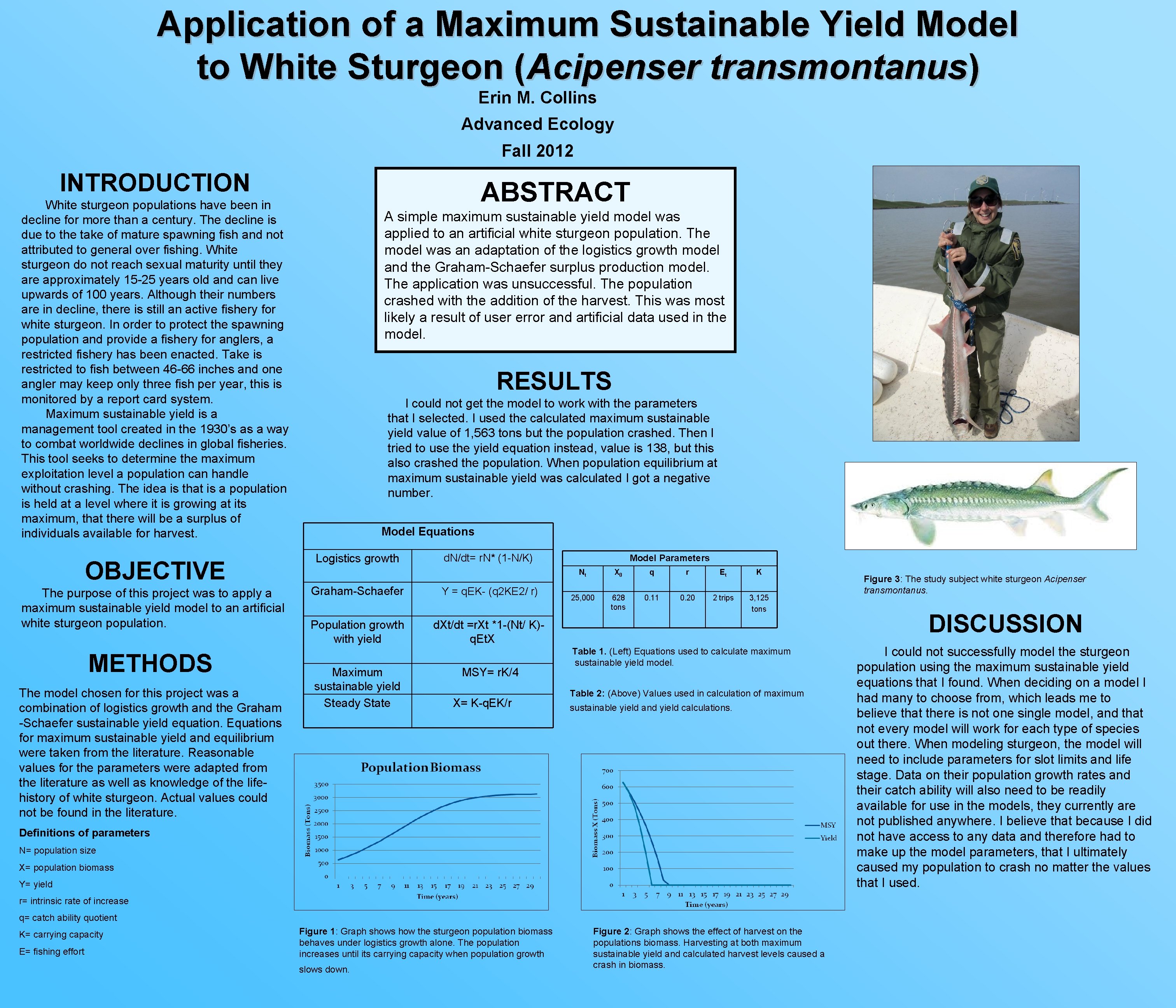 Application of a Maximum Sustainable Yield Model to White Sturgeon (Acipenser transmontanus) Erin M.