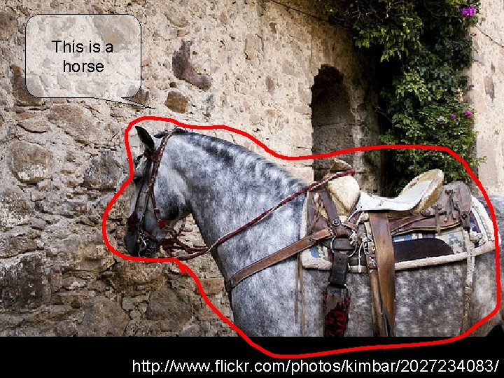This is a horse http: //www. flickr. com/photos/kimbar/2027234083/ This is a horse http: //www. flickr. com/photos/kimbar/2027234083/
