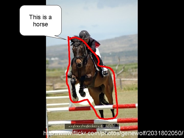 This is a horse http: //www. flickr. com/photos/genewolf/2031802050/ This is a horse http: //www. flickr. com/photos/genewolf/2031802050/