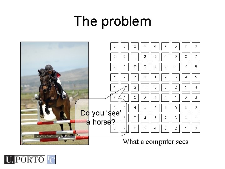 The problem Do you ‘see’ a horse? What a computer sees The problem Do you ‘see’ a horse? What a computer sees