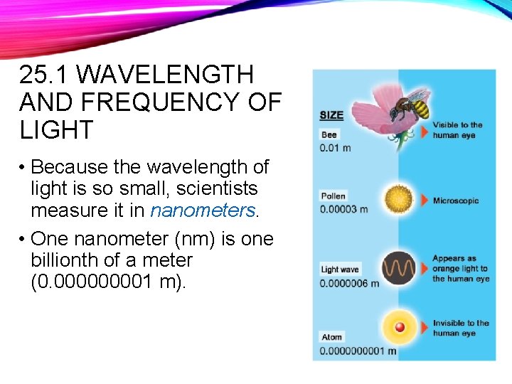 25. 1 WAVELENGTH AND FREQUENCY OF LIGHT • Because the wavelength of light is