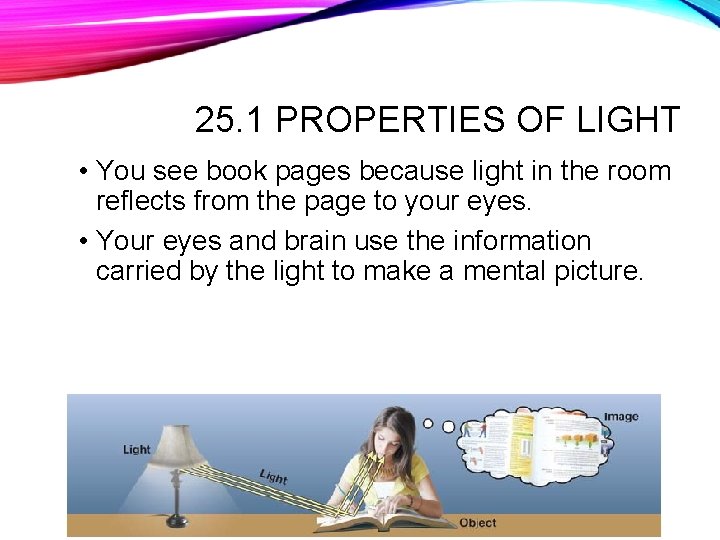 25. 1 PROPERTIES OF LIGHT • You see book pages because light in the