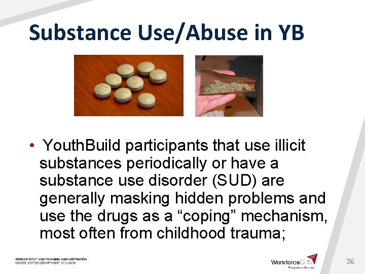 Substance Use/Abuse in YB • Youth. Build participants that use illicit substances periodically or