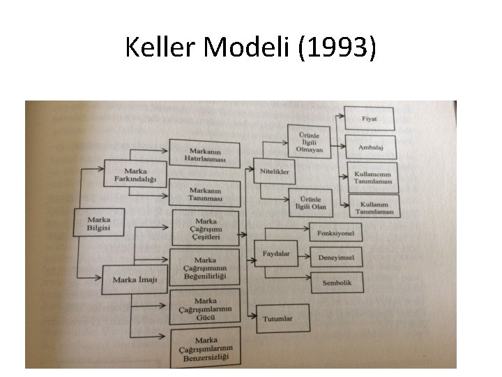 Keller Modeli (1993) 