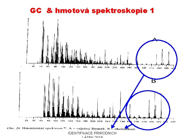 GC & hmotová spektroskopie 1 31. 10. 2018 PŘÍRODNÍ POLYMERY PŘF MU IDENTIFIKACE PŘÍRODNÍCH