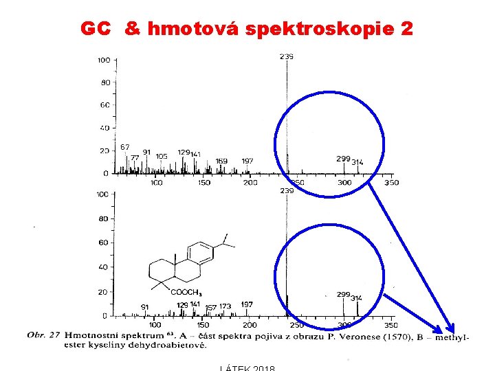 GC & hmotová spektroskopie 2 31. 10. 2018 PŘÍRODNÍ POLYMERY PŘF MU IDENTIFIKACE PŘÍRODNÍCH