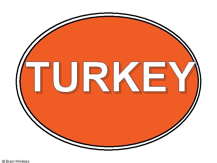 TURKEY © Brain Wrinkles 
