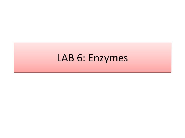 LAB 6: Enzymes 