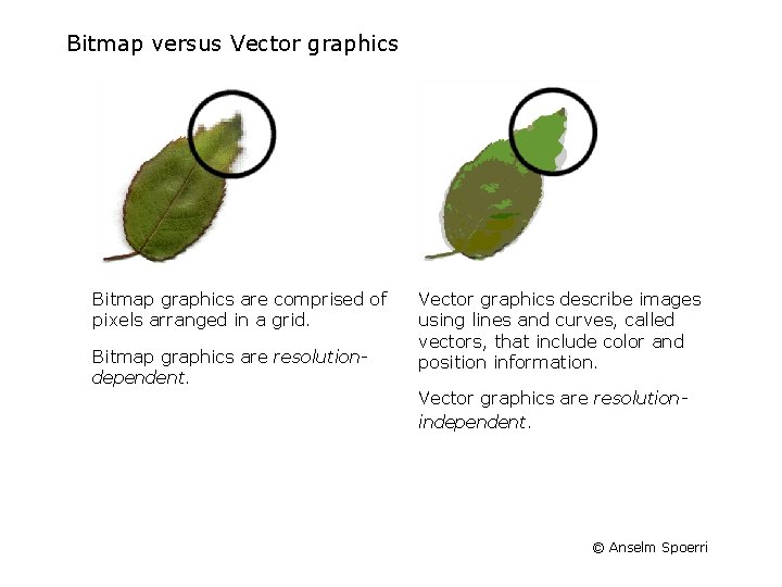 Bitmap versus Vector graphics Bitmap graphics are comprised of pixels arranged in a grid. Bitmap versus Vector graphics Bitmap graphics are comprised of pixels arranged in a grid.
