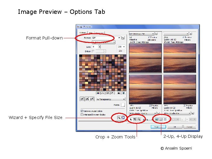Image Preview – Options Tab Format Pull down Wizard + Specify File Size Crop Image Preview – Options Tab Format Pull down Wizard + Specify File Size Crop