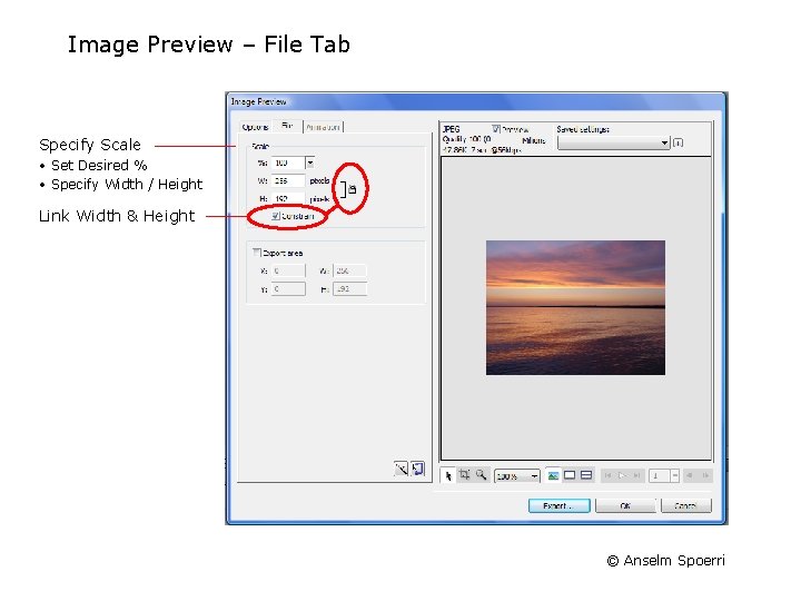 Image Preview – File Tab Specify Scale • Set Desired % • Specify Width Image Preview – File Tab Specify Scale • Set Desired % • Specify Width