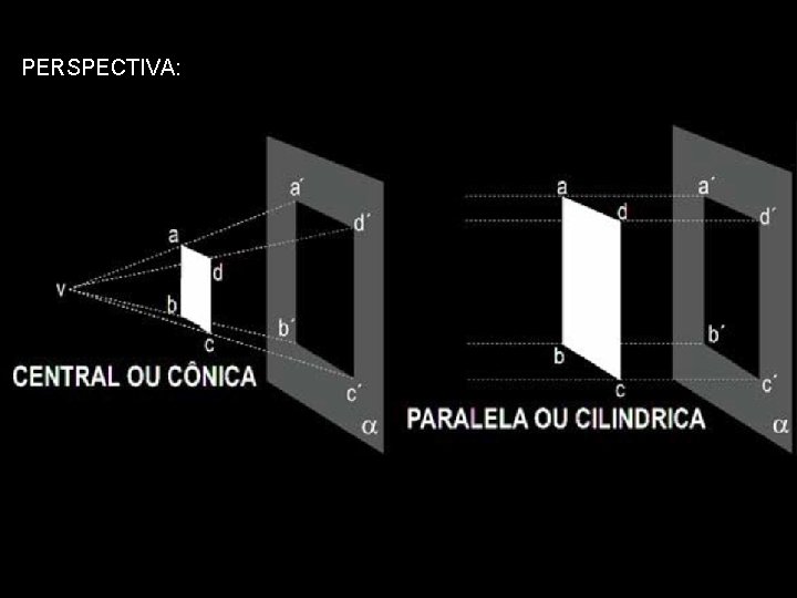 PERSPECTIVA: 