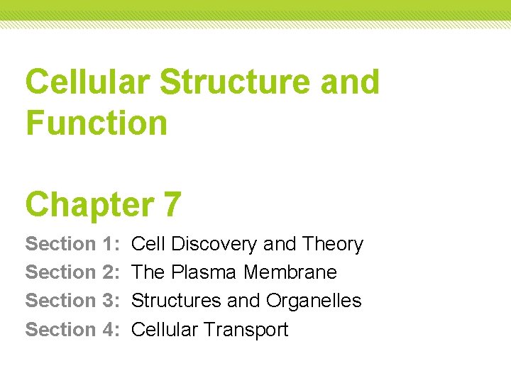 Cellular Structure and Function Chapter 7 Section 1: Section 2: Section 3: Section 4: Cellular Structure and Function Chapter 7 Section 1: Section 2: Section 3: Section 4: