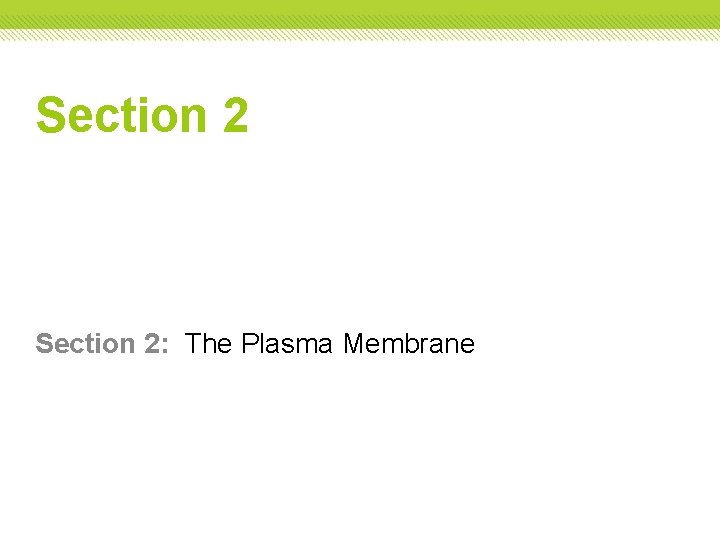 Section 2: The Plasma Membrane Section 2: The Plasma Membrane