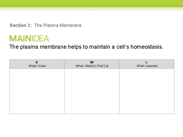 Section 2: The Plasma Membrane The plasma membrane helps to maintain a cell’s homeostasis. Section 2: The Plasma Membrane The plasma membrane helps to maintain a cell’s homeostasis.