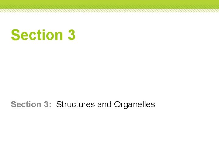 Section 3: Structures and Organelles Section 3: Structures and Organelles