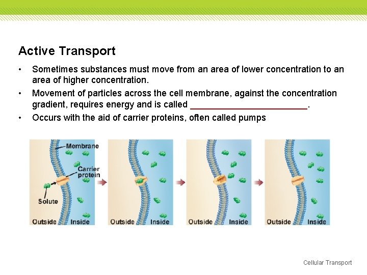 Active Transport • • • Sometimes substances must move from an area of lower Active Transport • • • Sometimes substances must move from an area of lower