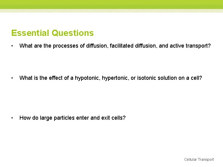 Essential Questions • What are the processes of diffusion, facilitated diffusion, and active transport? Essential Questions • What are the processes of diffusion, facilitated diffusion, and active transport?